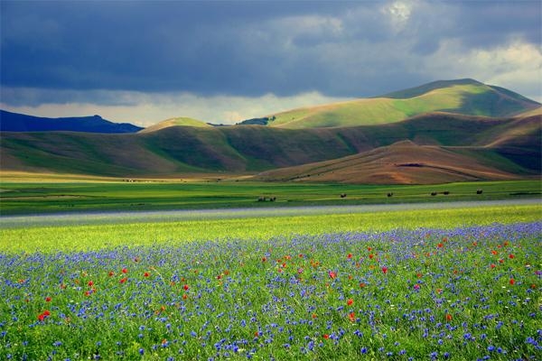 Gal Isc Madonie: bando microimprese, nota ai centri assistenza agricola operanti sul territorio