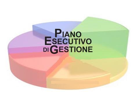 Approvato il piano esecutivo di gestione e gli obiettivi del 2012