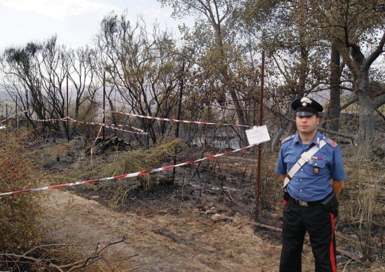 Tutela del territorio. Scoperta dai carabinieri una discarica di rifiuti altamente inquinanti