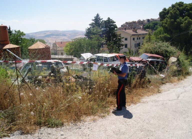 Controlli dei carabinieri in materia ambientale. Denunciata una persona