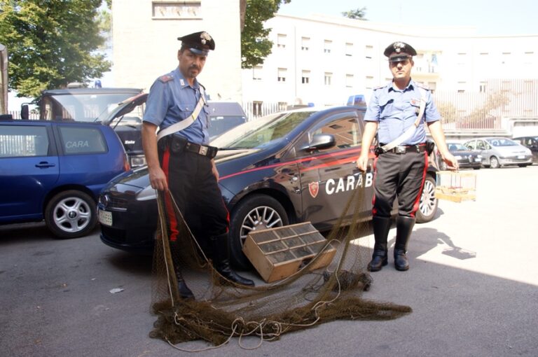 Tre palermitani denunciati per uccellagione clandestina