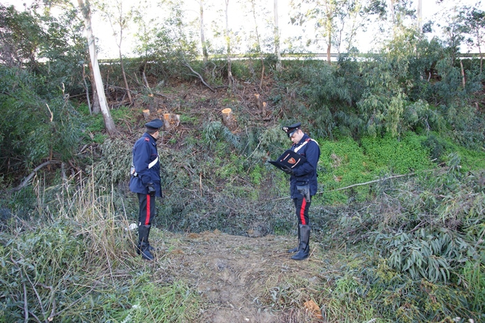 Arrestati dai carabinieri tre giovani di Cerda sorpresi a tagliare alberi sull’autostrada Palermo-Catania per poi rubarli