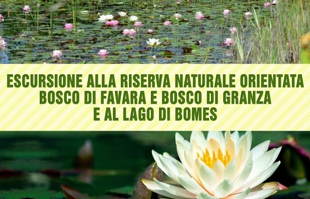 Escursione alla Riserva Naturale Orientata Bosco della Favara e Bosco Granza e al Lago di Bomes