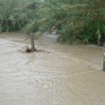 torrente roccella7