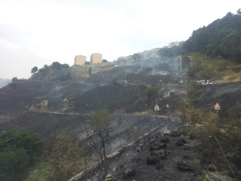 Violento incendio a San Mauro Castelverde, a rischio case popolari