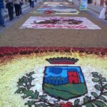 Infiorata campofelice12