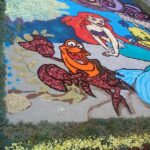 Infiorata campofelice7