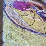 Infiorata campofelice8