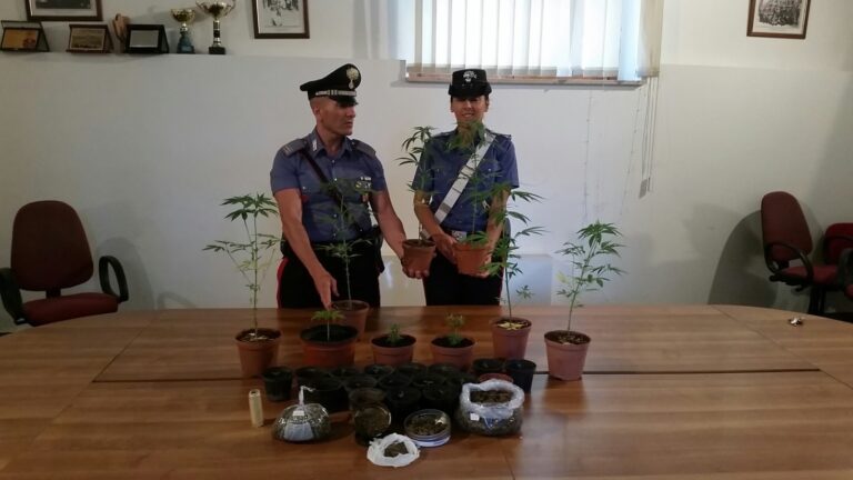 Piantagione di Marjuana in casa. Arrestato dai carabinieri