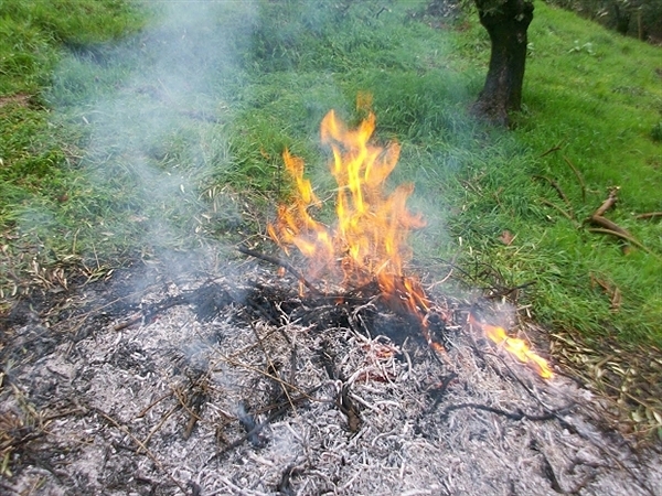 Da oggi a Cefalù è possibile bruciare residui in campagna