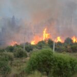 incendio collesanocampofelice 11