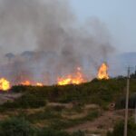 incendio collesanocampofelice 6