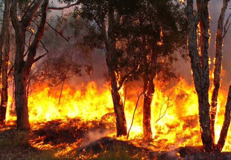 Due giorni di inferno. Vasto incendio nella zona delle pale eoliche