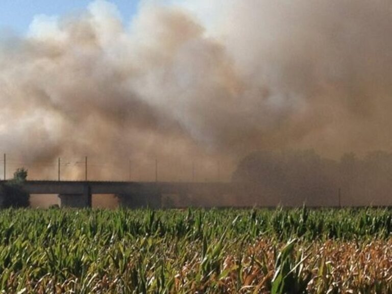 Incendio a Buonfornello, chiuso allacciamento della A20 Palermo-Messina con l’A19 Palermo-Catania