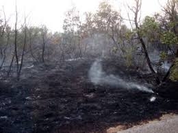 Incendio a Castelbuono