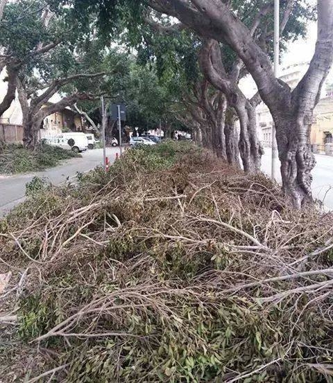 Marciapiede di via Unità d’Italia invaso dalle potature di alberi