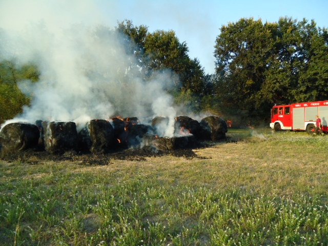 Fiamme in azienda agricola. Distrutto fienile, uccisi un cavallo e un vitello