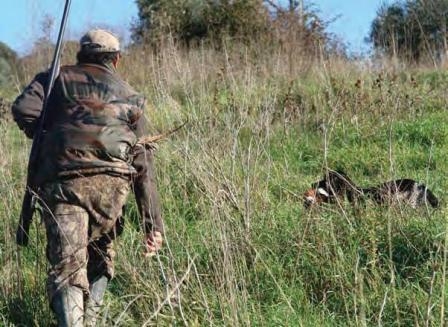 Incidente di caccia nelle campagne di Geraci Siculo, muore 30enne