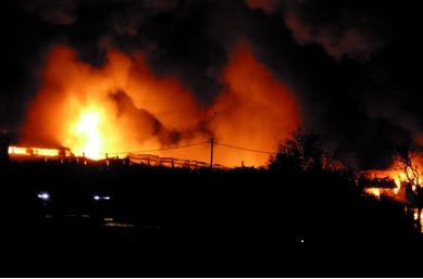 Vasto incendio di probabile origine dolosa distrugge una decina di ettari di vegetazione.