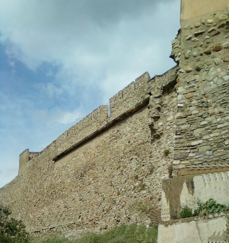 Nell’ambito dell’Infiorata termitana: passeggiata intorno le antiche mura civiche di Carlo V organizzata da SiciliAntica