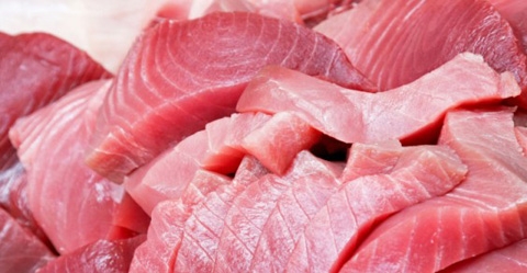 Sequestrati sei chili di tonno rosso