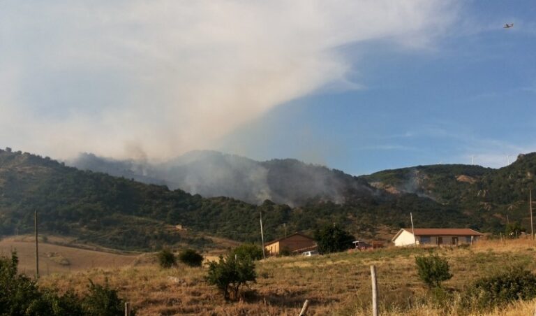 In fiamme circa 50 ettari della zona di Contrada  Zappaiello