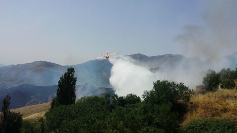 Vasto incendio lambisce abitazioni alle porte di Petralia Soprana