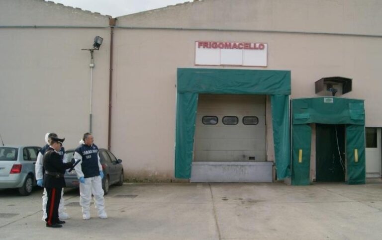 Controlli Nas e Carabinieri presso mattatoio comunale