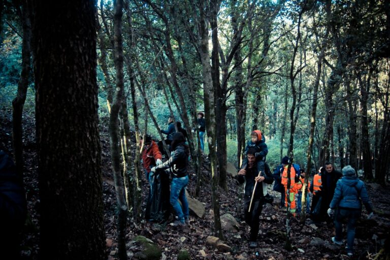 Prima Giornata Ecologica: ripulita l’area boschiva che circonda l’Hotel Milocca