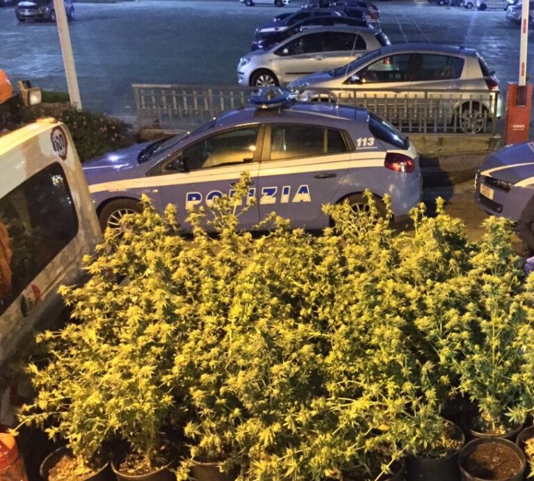 La Polizia scopre casualmente una piantagione di marijuana indoor. Arrestato il proprietario dell’immobile