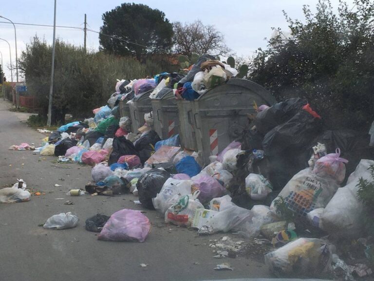 Caccamo. Immondizia e cani randagi. Qualcuno intervenga!