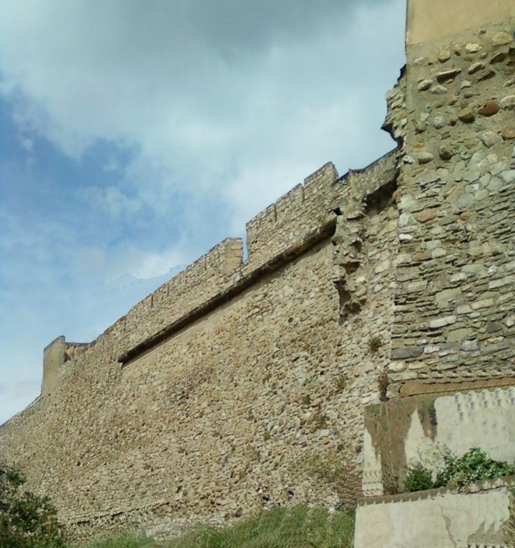 Si conclude il Seminario su “Termini Imerese, Storia di un territorio” promosso da SiciliAntica e dall’Auser per conoscere il passato della città