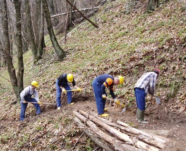 Essere nel mondo forestale