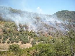 Incendio boschivo e resistenza a pubblico ufficiale a Cefalù. Condanna per un uomo