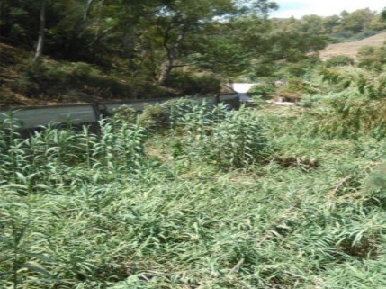 Continua l’opera di pulizia dei forestali sul torrente Barratina a Termini Imerese