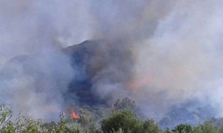 Incendio a Campofelice in contrada Calzata. In aggiornamento