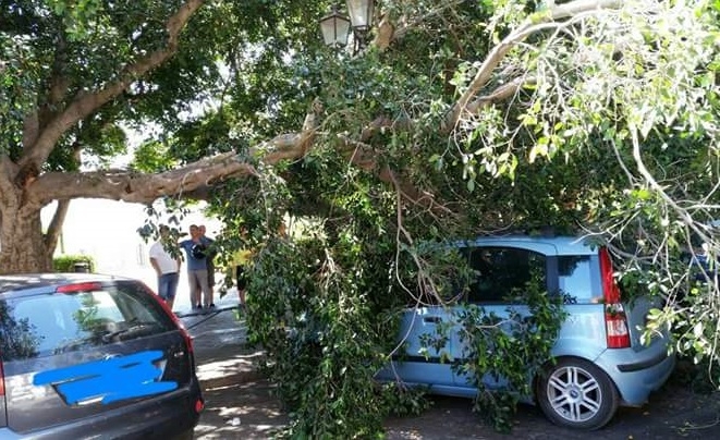 Al Belvedere di Termini Imerese il grosso ramo di un albero cade sopra un’auto in sosta
