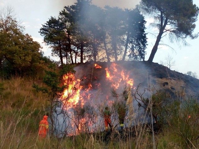 Incendio a Polizzi Generosa, intervento delle squadre del Servizio Antincendio