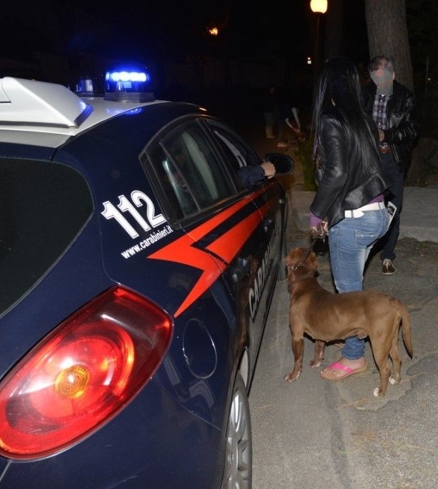Pitbull azzanna un ragazzo, i Carabinieri denunciano il padrone per lesioni colpose