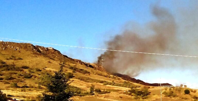 In fumo il boschetto secolare delle contrade Salaci e Zorba a Petralia Soprana