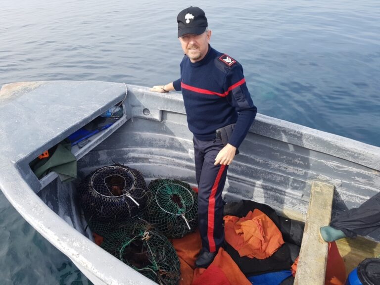 I Carabinieri sequestrano ad un pescatore sportivo 1100 ricci di mare. La norma prevede che poteva raccoglierne in un giorno solamente 50 esemplari