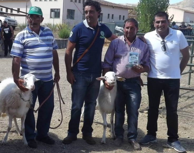 Prezzo del latte troppo basso, pastori madoniti in rivolta contro la grande distribuzione