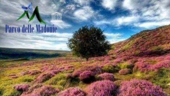 Gaffe del Parco delle Madonie: cartolina di auguri “dal posto più bello del mondo”: ma la foto era di un paesaggio inglese