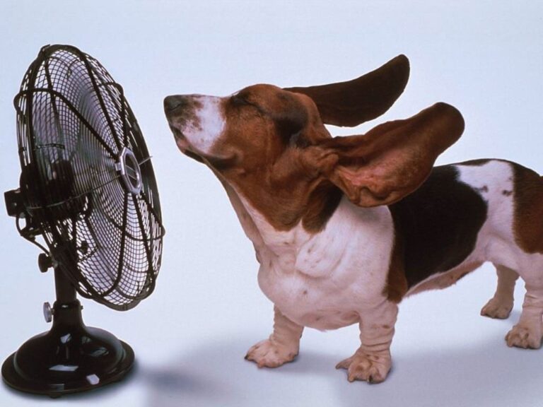 Caldo record atteso in Sicilia per la prossima settimana