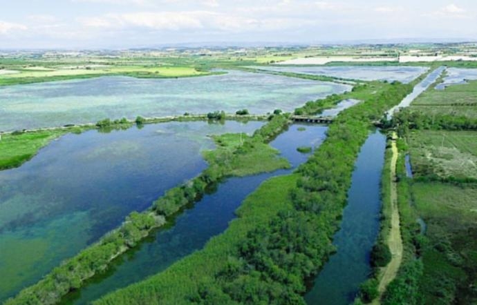 Nell’ambito della Mostra Mirabilia Maris: si parla di Microdiversità e ambiente nei laghi e nelle lagune di Sicilia