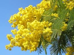 Festa della donna a Termini. Spettacolo all’Eden