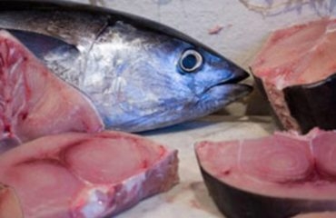 Rischio intossicazione da tonno rosso. Lo “Sportello dei Diritti” è stato il primo a segnalare il problema in Italia