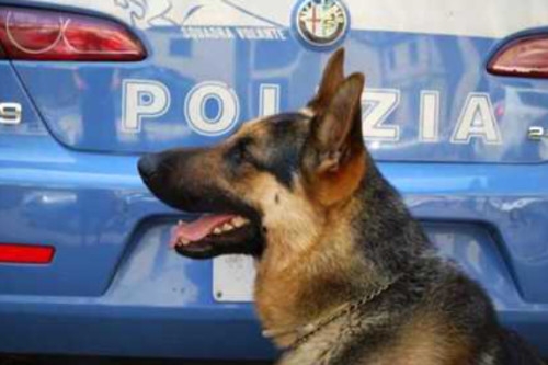 Polizia arresta un pregiudicato che spacciava stupefacenti durante la sua detenzione domiciliare