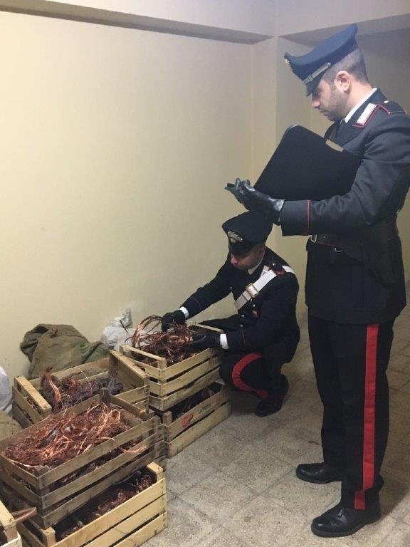 Recuperati 600 chili di “oro rosso”. Giovane arrestato dai carabinieri