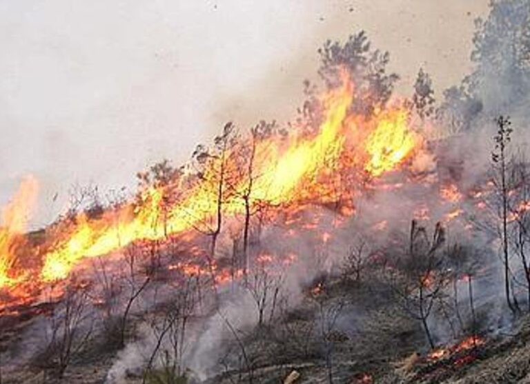 A causa del forte vento di scirocco previsto il sindaco di Cefalù proclama l’allerta incendi